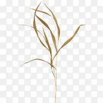 �Ӳ�-������