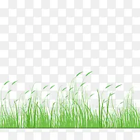 草 狗尾巴草 小草 绿草 草地-空若网 草 狗尾巴草 小草 绿草 草地-空若网