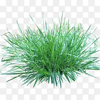 С��-������