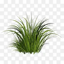 С²Ý-¿ÕÈôÍø С²Ý-¿ÕÈôÍø