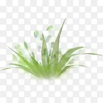 绿色手绘小草-空若网 绿色手绘小草-空若网