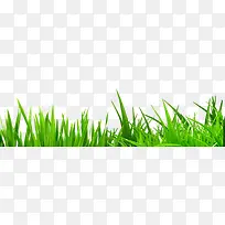 С��-������