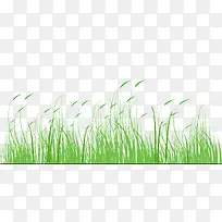 С��-������