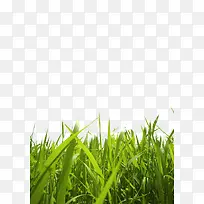 �̲�-������