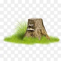 小草和树桩-空若网 小草和树桩-空若网