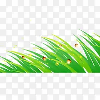 卡通小草萤火虫-空若网 卡通小草萤火虫-空若网