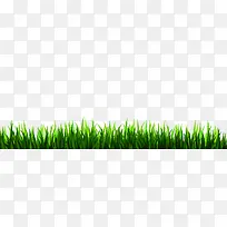草地草坪-空若网 草地草坪-空若网