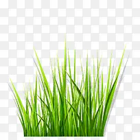 С²Ý-¿ÕÈôÍø С²Ý-¿ÕÈôÍø