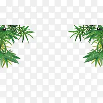 �ݵ�-������