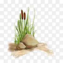 小草-空若网 小草-空若网