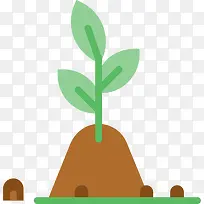 ����С��-������