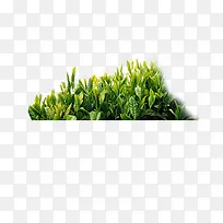 С��-������