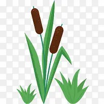 С���̲ݹ�β�Ͳ�-������