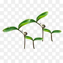 С²ÝÔªËØ-¿ÕÈôÍø С²ÝÔªËØ-¿ÕÈôÍø