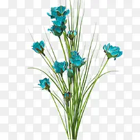 蓝花免扣素材-空若网 蓝花免扣素材-空若网