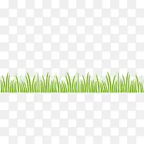 绿色小草-空若网 绿色小草-空若网