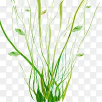 Ë®²Ý-¿ÕÈôÍø Ë®²Ý-¿ÕÈôÍø