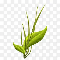 小草-空若网 小草-空若网