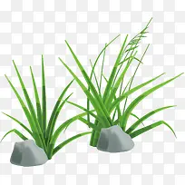 ��ɫС���ز�-������