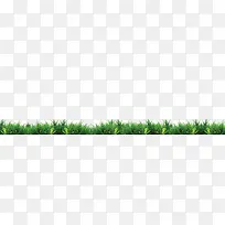 清新小草-空若网 清新小草-空若网