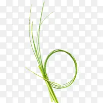 绿色漂亮草环-空若网 绿色漂亮草环-空若网