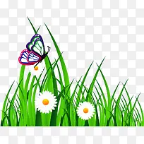 草地草坪-空若网 草地草坪-空若网