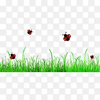 草地草坪-空若网 草地草坪-空若网