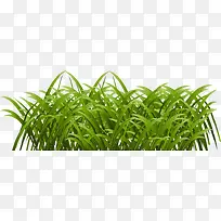 �̲�-������