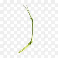 Ư������С��-������