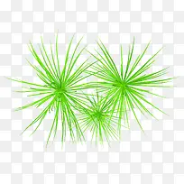 绿草-空若网 绿草-空若网