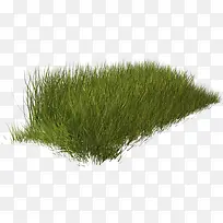 �̲�Ұ��-������