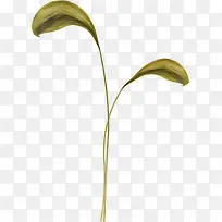 草-空若网 草-空若网