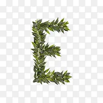 ��Ҷ��ĸe-������