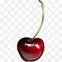 ����ں�ɫӣ��ˮ��-������