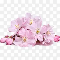 ������Ӱ��ɫ���һ�Ч��-������