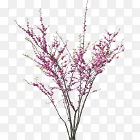 红色的桃花高清摄影合成-空若网 红色的桃花高清摄影合成-空若网