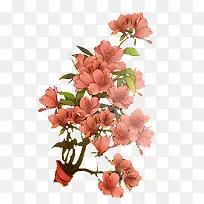 ˮ�ʺ�ɫ�һ���֦-������