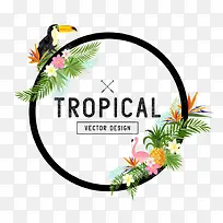 圆形鹦鹉花卉边框-空若网 圆形鹦鹉花卉边框-空若网