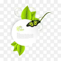 ��ɫװ�α߿�-������