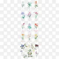 手绘花朵-空若网 手绘花朵-空若网