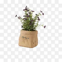 薰衣草花束-空若网 薰衣草花束-空若网