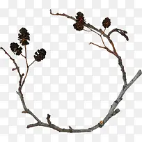 枯树枝-空若网 枯树枝-空若网