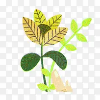 花朵插画-空若网 花朵插画-空若网