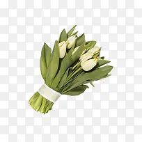 ��ɫ�����㻨��-������