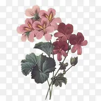 花复古 卡通手绘花束-空若网 花复古 卡通手绘花束-空若网