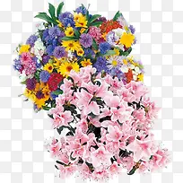 彩色卡通手绘花束-空若网 彩色卡通手绘花束-空若网