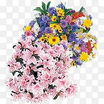 彩色盛开花束捧花-空若网 彩色盛开花束捧花-空若网