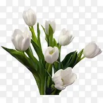 白色纯净花束-空若网 白色纯净花束-空若网