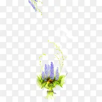 Þ¹Ò²ݻ¨Êø-¿ÕÈôÍø Þ¹Ò²ݻ¨Êø-¿ÕÈôÍø