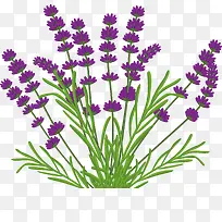 ÊÖ»æÞ¹Ò²ݻ¨Êø-¿ÕÈôÍø ÊÖ»æÞ¹Ò²ݻ¨Êø-¿ÕÈôÍø